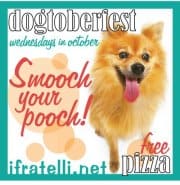 dogtoberfest
