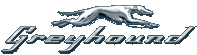 greyhound