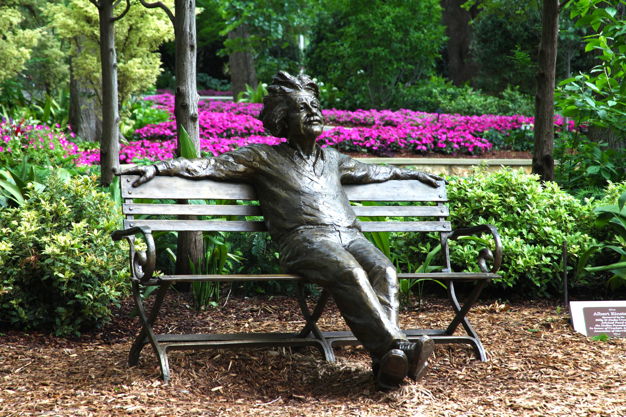 30 BEST THINGS TO DO IN DALLAS TX visual data 4